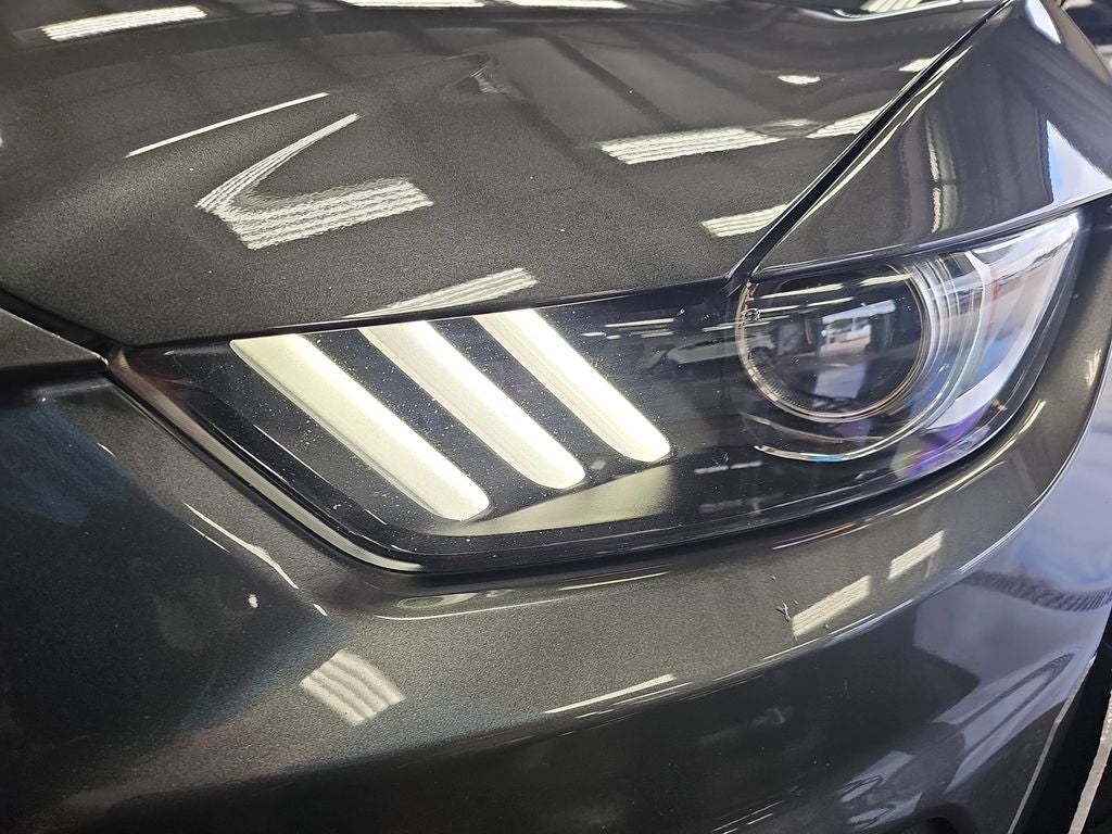 2017 Ford Mustang Shelby GT350
