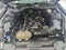 2023 Ford Mustang EcoBoost