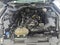 2023 Ford Mustang EcoBoost