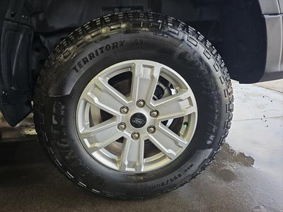 2024 Ford Ranger XL