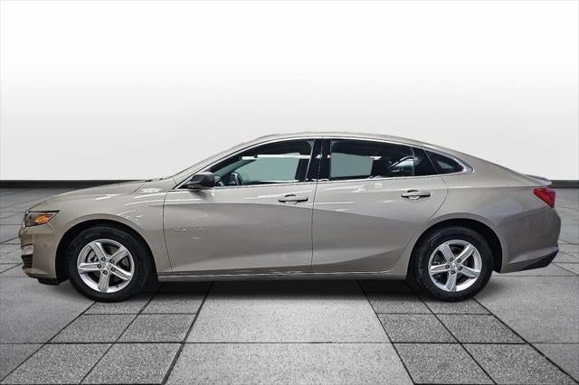 2024 Chevrolet Malibu LS 1FL