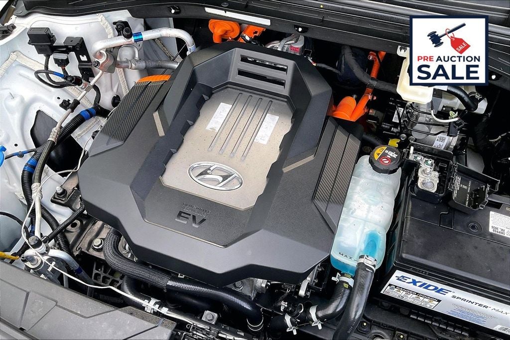 2021 Hyundai Ioniq Electric Limited