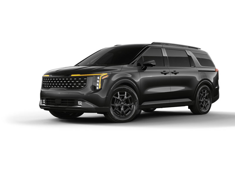 Panthera Metal Kia Carnival 3-row MPV